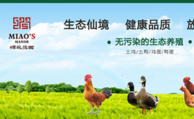 繆氏庄园电商平台